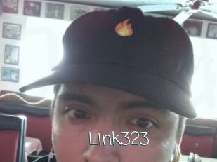 Link323