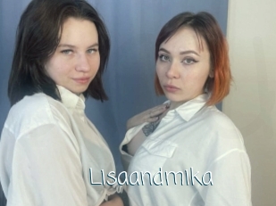 Lisaandmika