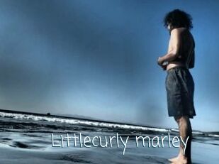 Littlecurly_marley