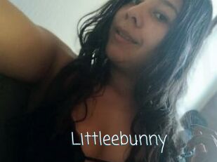 Littleebunny