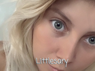 littlesary Adult o Porn