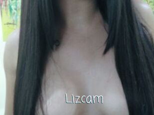 Lizcam