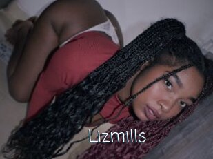 Lizmills