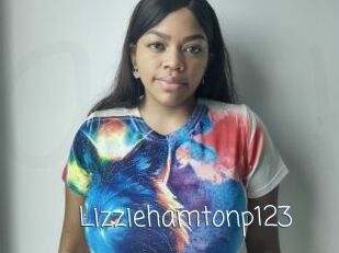 Lizziehamtonp123