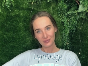 Lynfudge