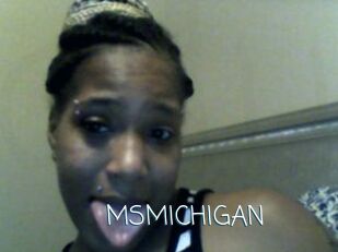 MSMICHIGAN