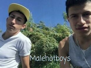 Malehotboys
