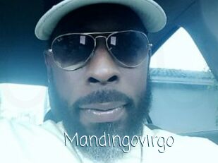 Mandingovirgo