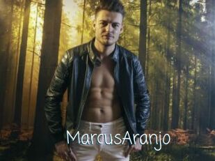 MarcusAranjo