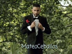 MateoCeballos