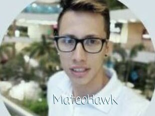 MateoHawk