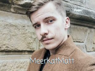 MeerkatMatt
