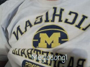 Meglodong1
