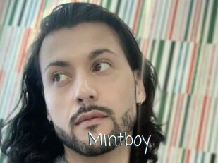 Mintboy