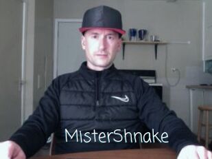 MisterShnake