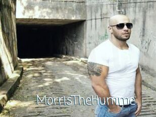 MorrisTheHumme