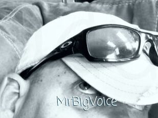MrBigVoice