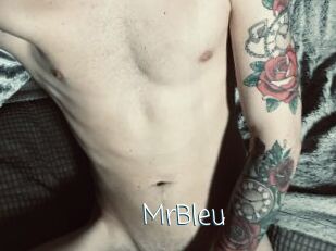 MrBleu