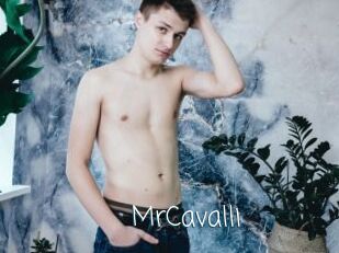 MrCavalli