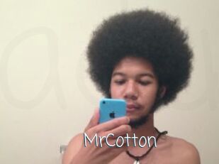 MrCotton Adult o Porn