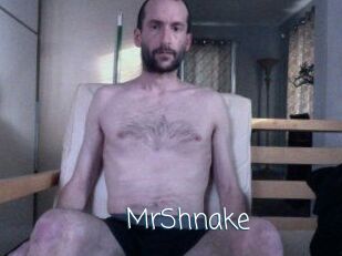MrShnake