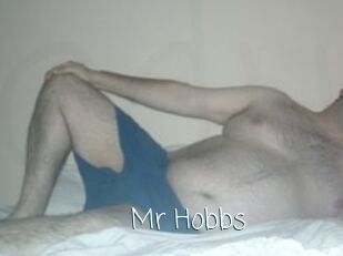 Mr_Hobbs
