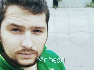 Mr_bear1