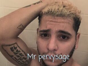 Mr_pervysage