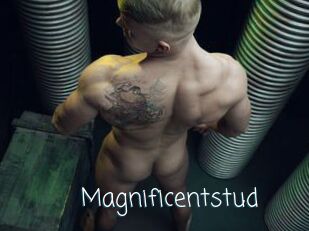 magnificentstud Adult o Porn