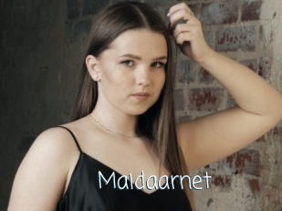 Maidaarnet