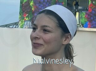 Malvinesley