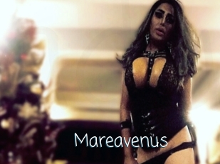 mareavenus Adult o Porn