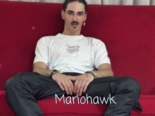 Mariohawk