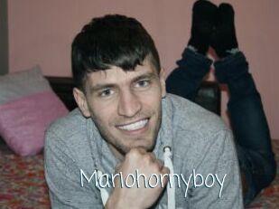 Mariohornyboy