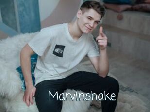 Marvinshake