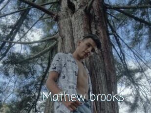 Mathew_brooks