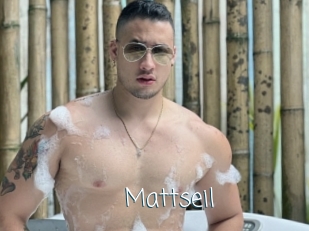 mattseil Adult o Porn