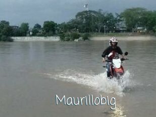 Maurillobig