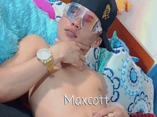 maxcott Adult o Porn