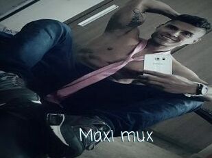 Maxi_mux