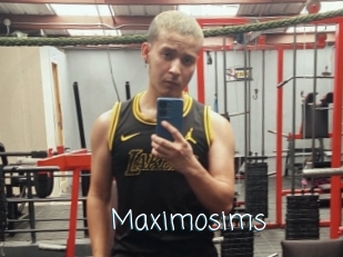 Maximosims