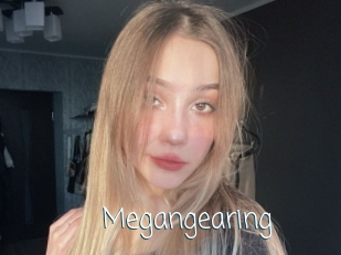 Megangearing