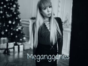 Megangodnes