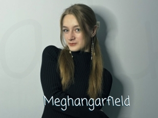 Meghangarfield