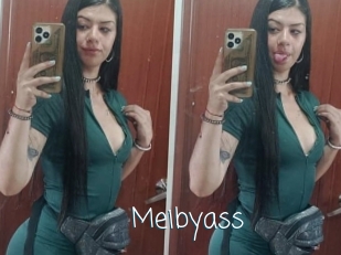 Meibyass