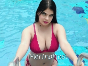 Merlinafrost