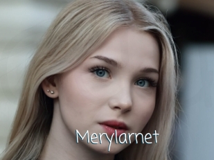 Merylarnet