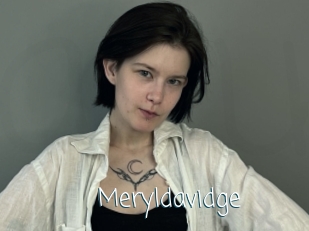Meryldavidge