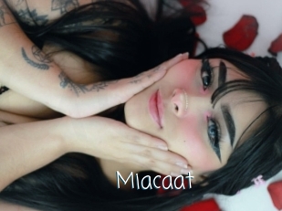 Miacaat