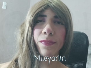 mileyarlin Adult o Porn